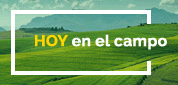 HOY en el campo